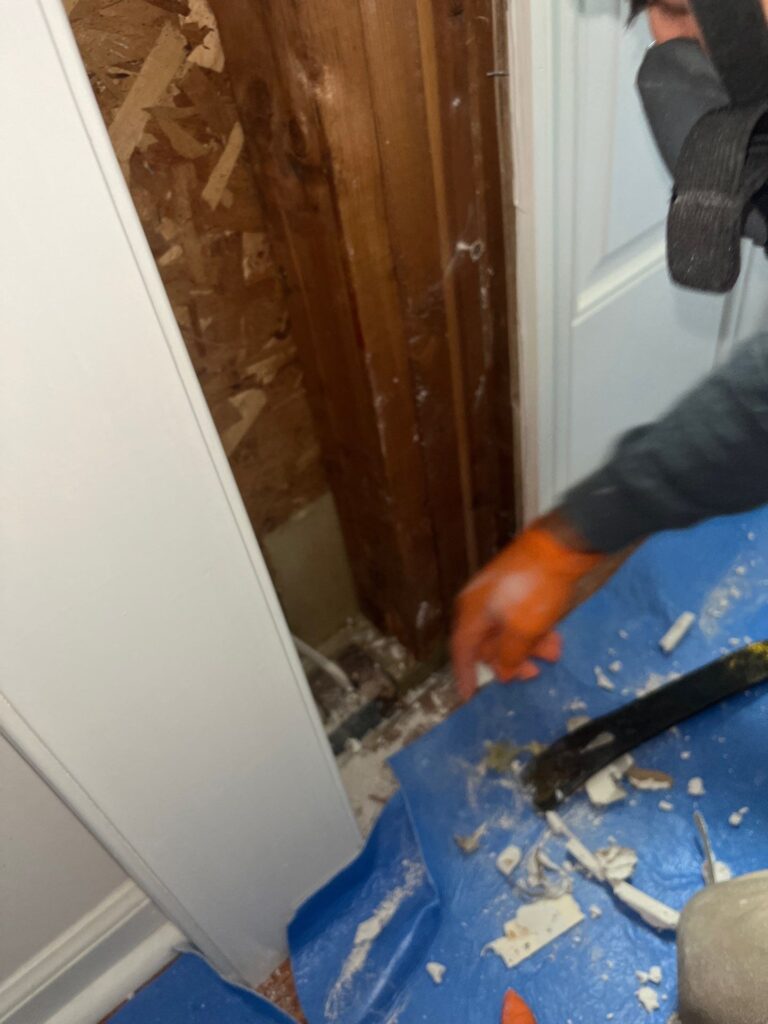 Uncover Hidden Mold with Professional Mold Testing